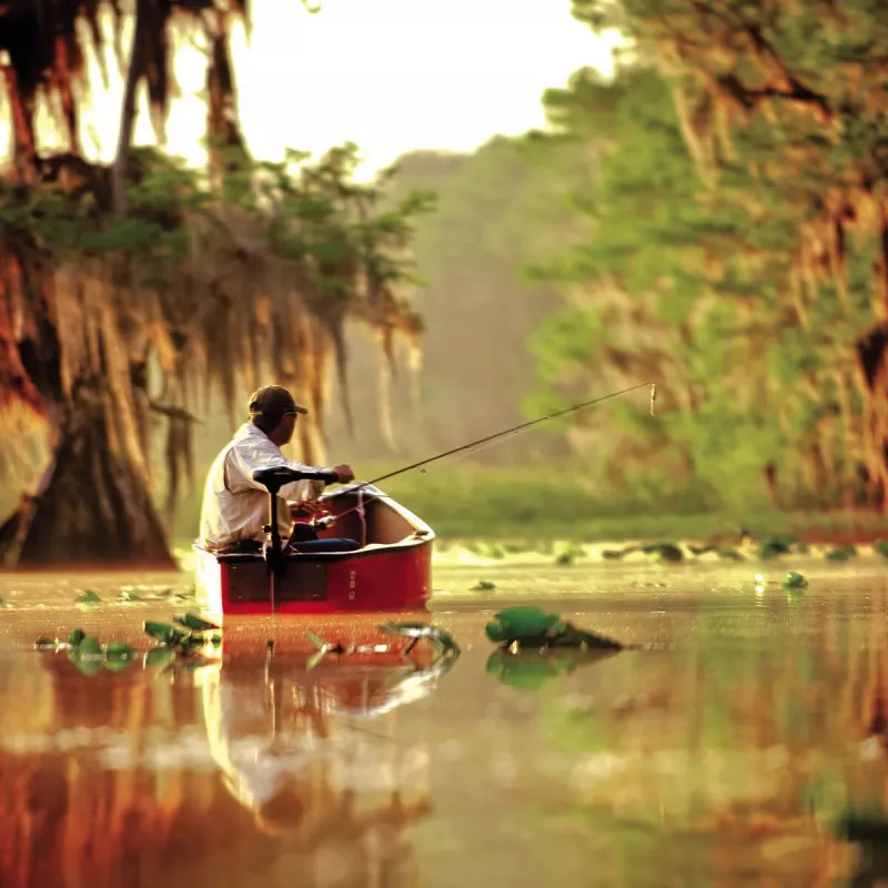 Moteur Électrique Minn Kota Endura C2 V2 Eau Douce – Image 7