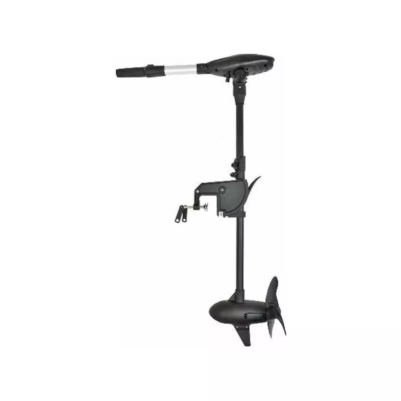 Moteur Haswing Protruar-G 3.0 110 Lbs