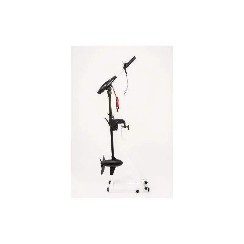 Moteur Haswing Protruar-G 3.0 110 Lbs – Image 2