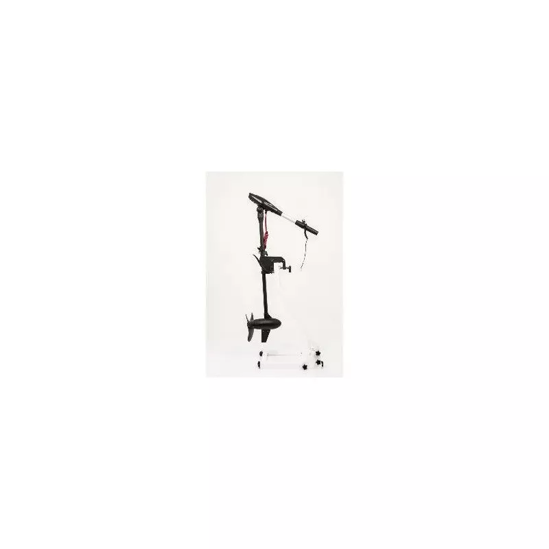 Moteur Haswing Protruar-G 3.0 110 Lbs – Image 5