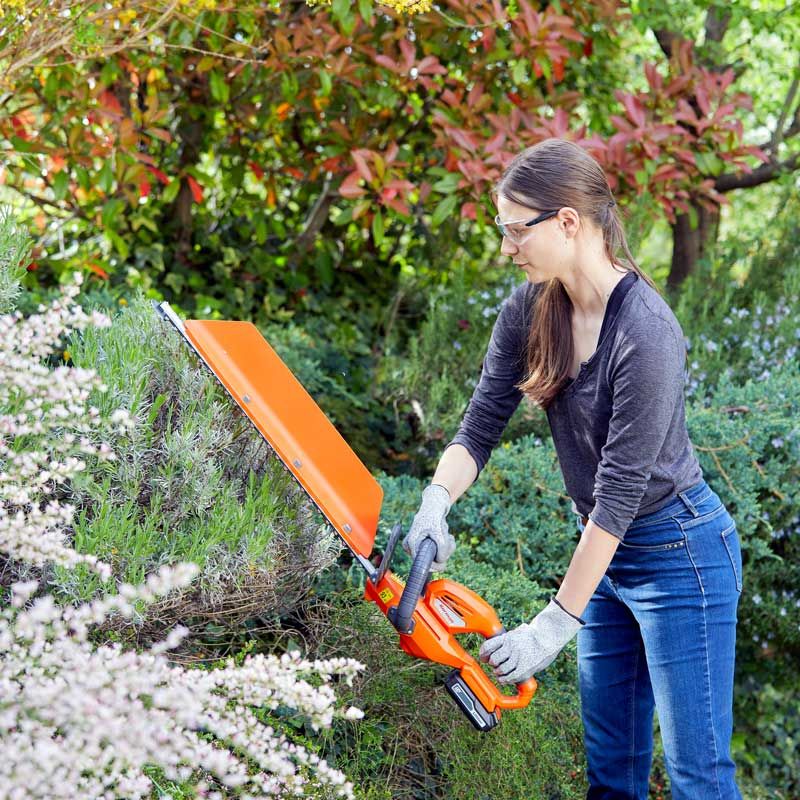 Taille Haie sans Fil 550mm 18v Li-Ion + Batterie 18v 2ah + Chargeur Rapide 18v Korman – Image 4